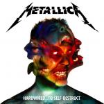Cover: Metallica - Spit Out The Bone