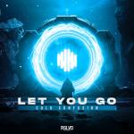 Cover: Cold Confusion - Let You Go