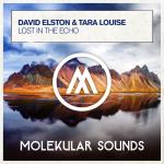 Cover: Tara Louise - Lost In The Echo