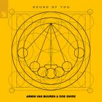 Cover: Armin van Buuren - Sound Of You
