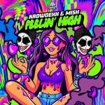 Cover: Krowdexx - Feelin' High