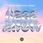 Cover: NIKSTER - Here & Now