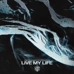 Cover: Oaks - Live My Life