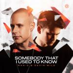 Cover: Ran-D - Somebody That I Used To Know