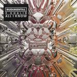 Cover: Rudimental - All I Know