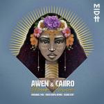 Cover: AWEN & Caiiro - Your Voice