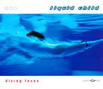 Cover: Liquid Child - Diving Faces (Radio Edit)