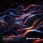 Cover: IKLR - Feel The Rhythm