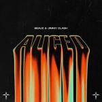 Cover: BEAUZ & Jimmy Clash - Alice D