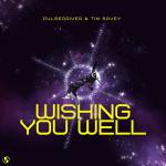 Cover: Pulsedriver & Tim Savey - Wishing You Well
