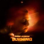 Cover: Demi Kanon - Burning