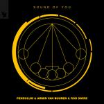 Cover: Pendulum - Sound Of You