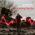 Cover: Ciaran McAuley & Roger Shah & Sue McLaren - Not Letting You Go