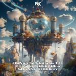 Cover: Ronski Speed & DJ T.H. pres. Sun Decade & Shannon Hurley - Can't Give It Up