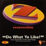 Cover: Scott Brown - Do What Ya Like! (DJ Paul Elstak Remix)