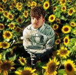 Cover: Vertile - Light In The Dark