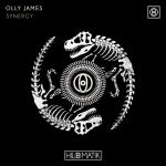Cover: Olly James - Synergy