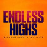 Cover: Jay Reeve - Endless Highs