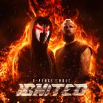 Cover: D-Fence & Nolz - Ignited