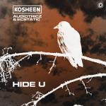 Cover: Kosheen & Ecstatic & Audiotricz - Hide U
