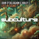 Cover: John O'Callaghan & Hailey J - Lost In Sound