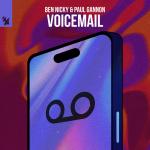 Cover: Ben Nicky & Paul Gannon - Voicemail