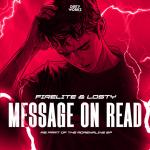 Cover: Firelite & Losty - Message On Read