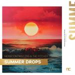 Cover: Noisecontrollers & The Pitcher - Summer Drops