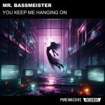 Cover: Mr. Bassmeister - You Keep Me Hanging On