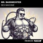 Cover: Mr. Bassmeister - Sex Machine