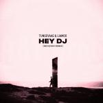 Cover: Tungevaag & LIAMOO - Hey DJ (Refuzion Remix)