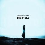 Cover: Tungevaag & LIAMOO - Hey DJ