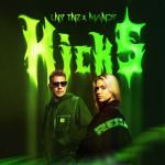 Cover: LNY TNZ & Mandy - Kicks