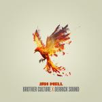 Cover: Brother Culture & Derrick Sound - Jah Well