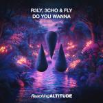 Cover: R3Ly & 3CHO & Fly - Do You Wanna