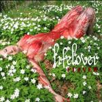 Cover: Lifelover - M/S Salmonella