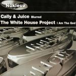 Cover: The White House Project - I Am The God