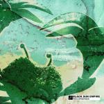 Cover: Black Sun Empire & State Of Mind - Animal