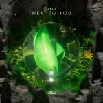 Cover: Serzo - Next To You