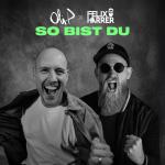 Cover: Oli. P & Felix Harrer - So Bist Du