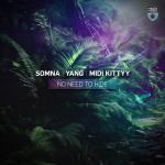 Cover: Somna & Yang & MIDI Kittyy - No Need To Hide