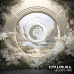 Cover: Costa & call me AL - A Beautiful Thing