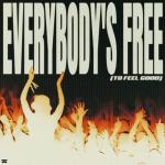 Cover: Skytech - Everybody's Free (To Feel Good)