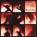 Cover: Tchami - Waiting