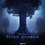 Cover: Nanostorm - Necro Insomnia