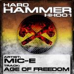 Cover: 300 - Age Of Freedom
