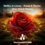 Cover: MarLo - Roses & Thorns