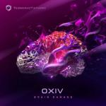 Cover: OXIV - Brain Damage
