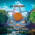 Cover: Moore - In The End