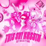 Cover: Strixter - This Shi Bussin